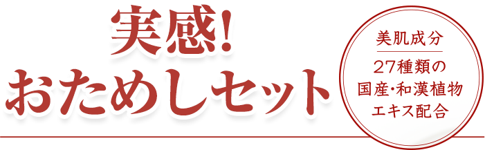 実感！おためしセット