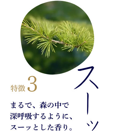 特徴3「スーッ」 まるで、森の中で深呼吸するように、スーッとした香り。