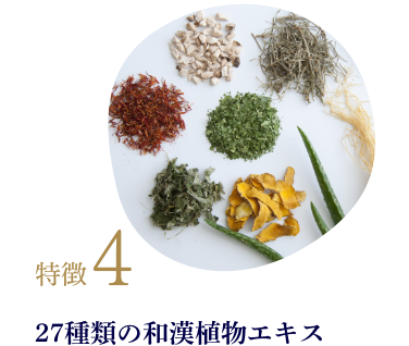 特徴4 27種類の和漢植物エキス