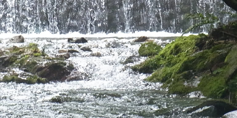 水へのこだわり イメージ