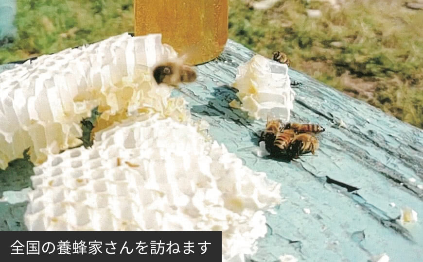 全国の養蜂家さんを訪ねます