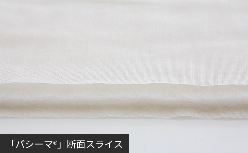 「パシーマ®︎」断面スライス