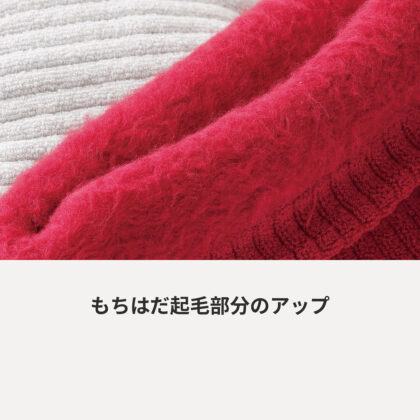 もちはだ起毛部分のアップ